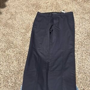 Express Innovator Pants